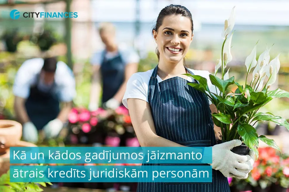 kredīts juridiskām personām, kredīts juridiskai personai, ātrais kredīts juridiskām personām, kredīts juridiskām personām bez ķīlas