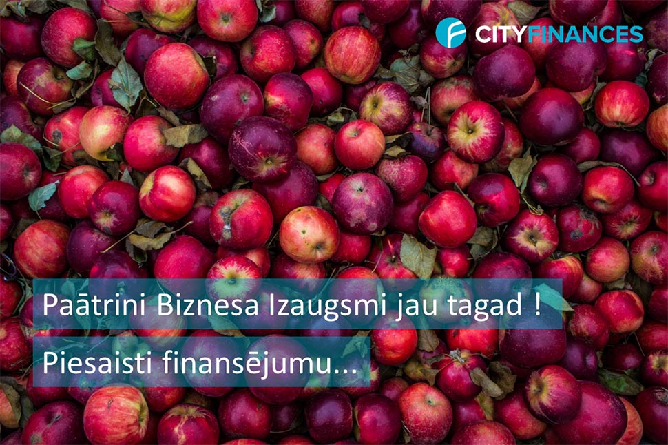 Ātrie kredīti uzņēmumiem vai finansējuma piesaiste? Kāpēc finansējuma piesaiste uzņēmumiem ir izdevīgāka nekā ātrie kredīti uzņēmumiem biznesa attīstībai? Paātrini biznesa izaugsmi jau tagad! | Cityfinances